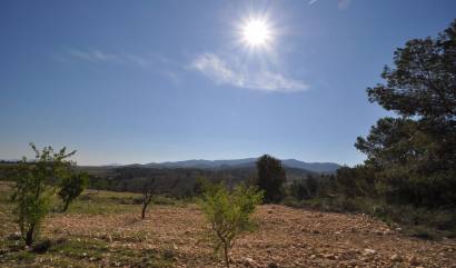 Revente - Land - La Zarza