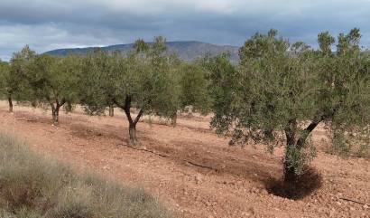 Revente - Land - Monovar