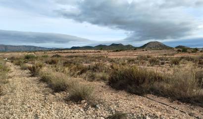 Revente - Land - Monovar