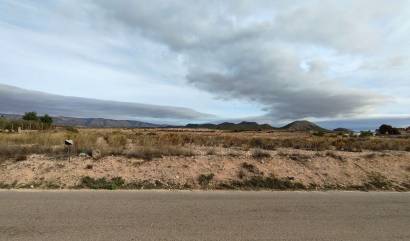 Revente - Land - Monovar