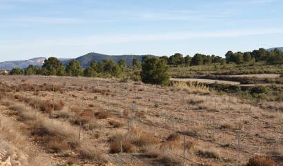 Revente - Land - Pinoso