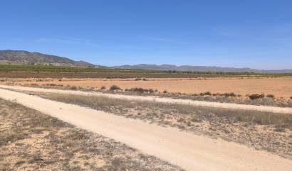 Revente - Land - Pinoso