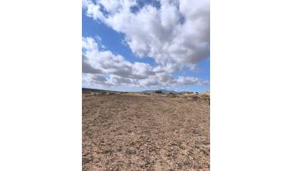 Revente - Land - Pinoso