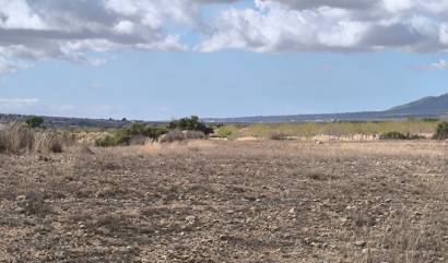 Revente - Land - Pinoso