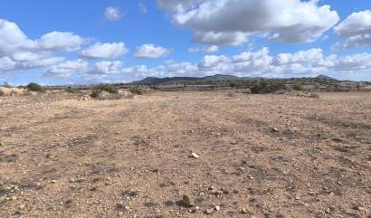 Revente - Land - Pinoso