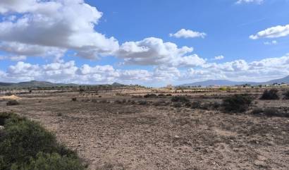 Revente - Land - Pinoso