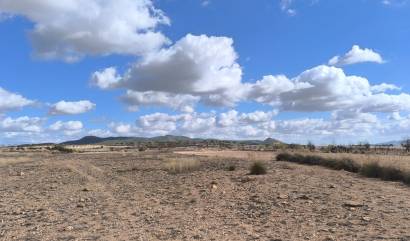 Revente - Land - Pinoso