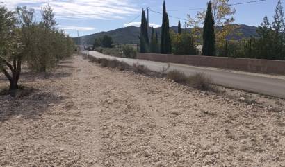 Revente - Land - Salinas