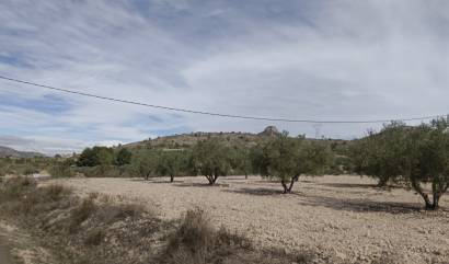 Revente - Land - Salinas