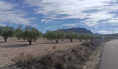 Revente - Land - Salinas