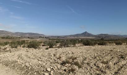 Revente - Land - Salinas