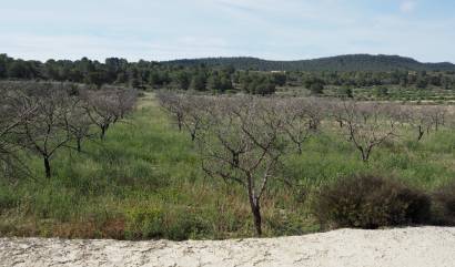 Revente - Land - San Miguel de Salinas - Torremendo