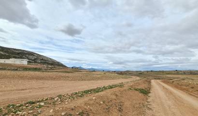 Revente - Land - Torre Del Rico