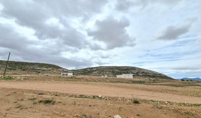 Revente - Land - Torre Del Rico