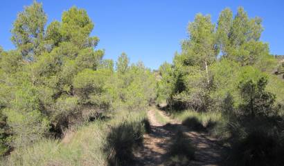 Revente - Land - Yecla