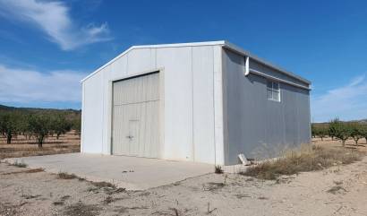 Revente - Land - Yecla