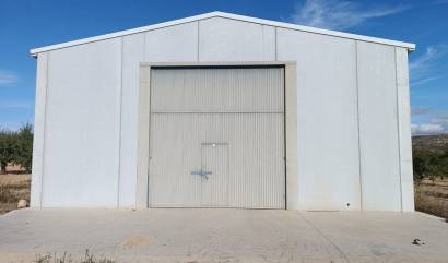 Revente - Land - Yecla