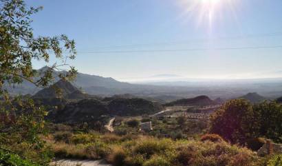 Revente -  - Macisvenda