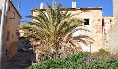 Revente -  - Macisvenda