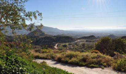 Revente -  - Macisvenda