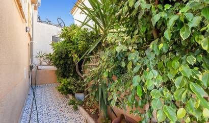 Revente - Maison de ville - Los Balcones - Los Altos del Edén - Los Balcones