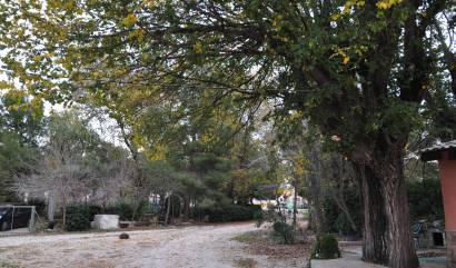 Revente - Maison de ville - Pinoso