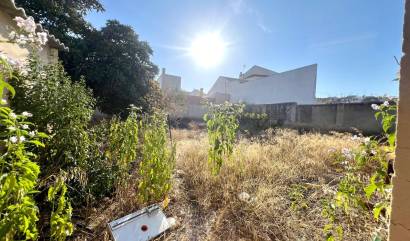 Revente - Maison de ville - Pinoso