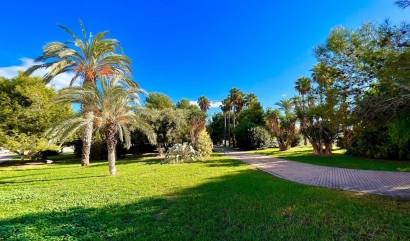 Revente - Maison de ville - Torrevieja - Calas blanca