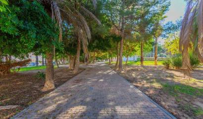 Revente - Maison de ville - Torrevieja - Calas blanca