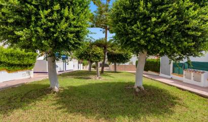 Revente - Maison de ville - Torrevieja