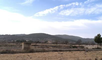 Revente -  - Monovar