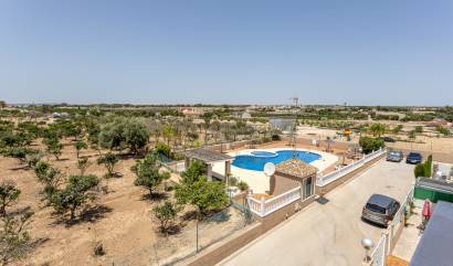 Revente - Semi Detached - Guardamar del Segura