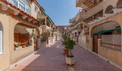 Revente -  - Torrevieja - Acequion