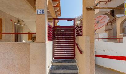 Revente -  - Torrevieja - Acequion