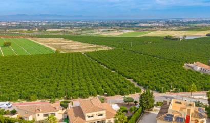 Revente - Villa - Algorfa - Castillo De Montemar
