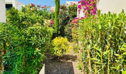 Revente - Villa - Algorfa - La Finca Golf