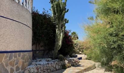 Revente - Villa - Algorfa - Lomas De La Juliana