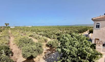 Revente - Villa - Ciudad Quesada - Doña Pepa