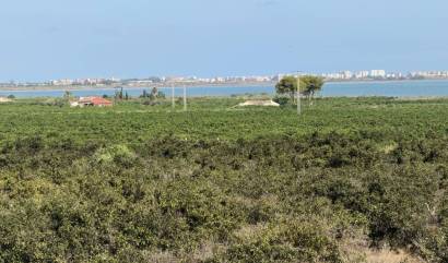 Revente - Villa - Ciudad Quesada - Doña Pepa