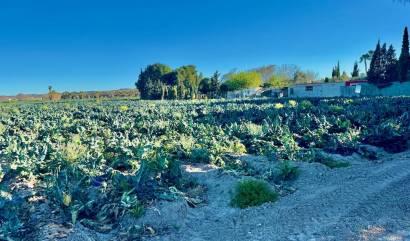 Revente - Villa - Guardamar del Segura
