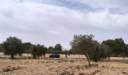 Revente - Villa - Monovar