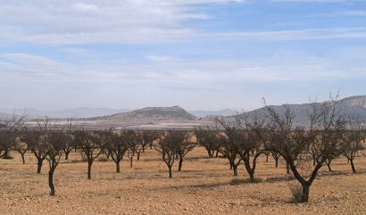 Revente - Villa - Monovar