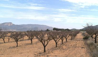 Revente - Villa - Monovar