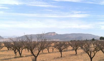 Revente - Villa - Monovar