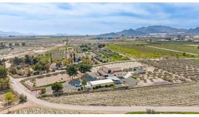 Revente - Villa - Puerto Lumbreras - Esparragal de Puerto Lumbreras