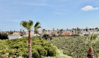 Sale - Apartment - Ciudad Quesada - Ciudad Quesada - Doña Pepa