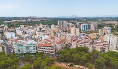 Sale - Apartment - Guardamar del Segura - CENTRO