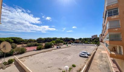 Sale - Apartment - Guardamar del Segura - Lomas de Polo-Pinomar
