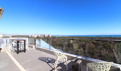 Sale - Apartment - Guardamar del Segura