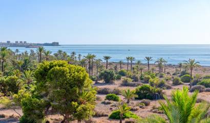 Sale - Apartment - Orihuela Costa - Punta Prima